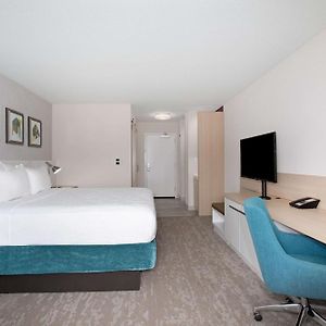 Wellness King Room